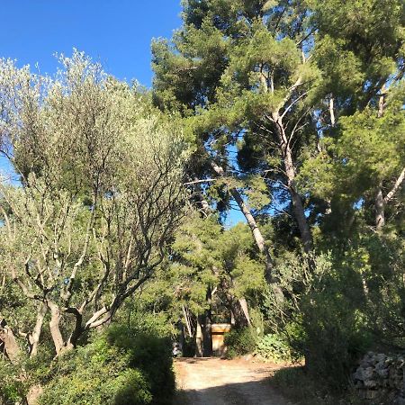 Les Pins Daire Le Castellet  Dış mekan fotoğraf