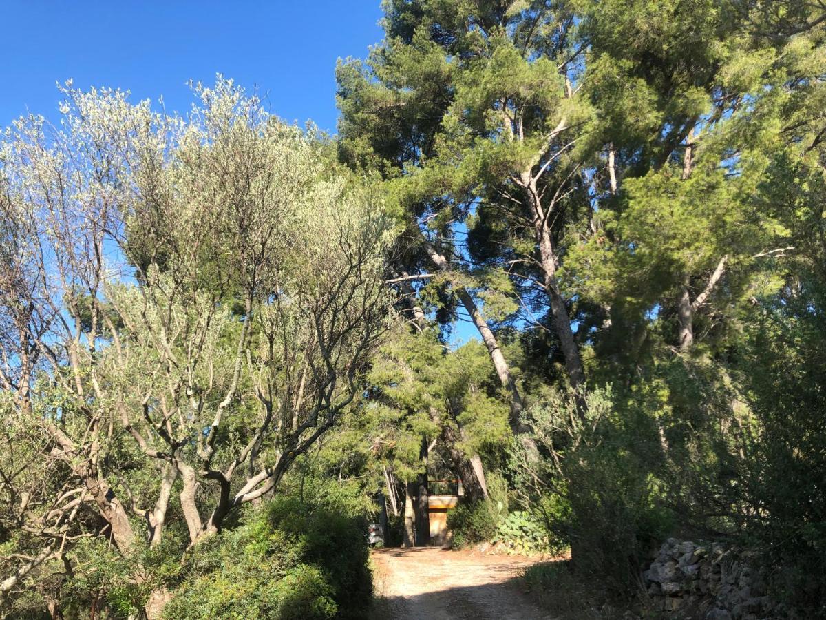 Les Pins Daire Le Castellet  Dış mekan fotoğraf