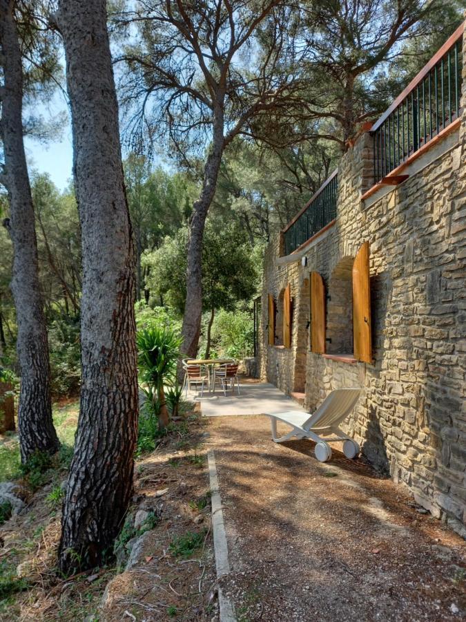 Les Pins Daire Le Castellet  Dış mekan fotoğraf